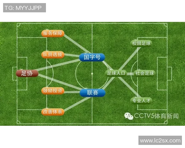 外国足球明星加盟中国国家队的前景与挑战分析